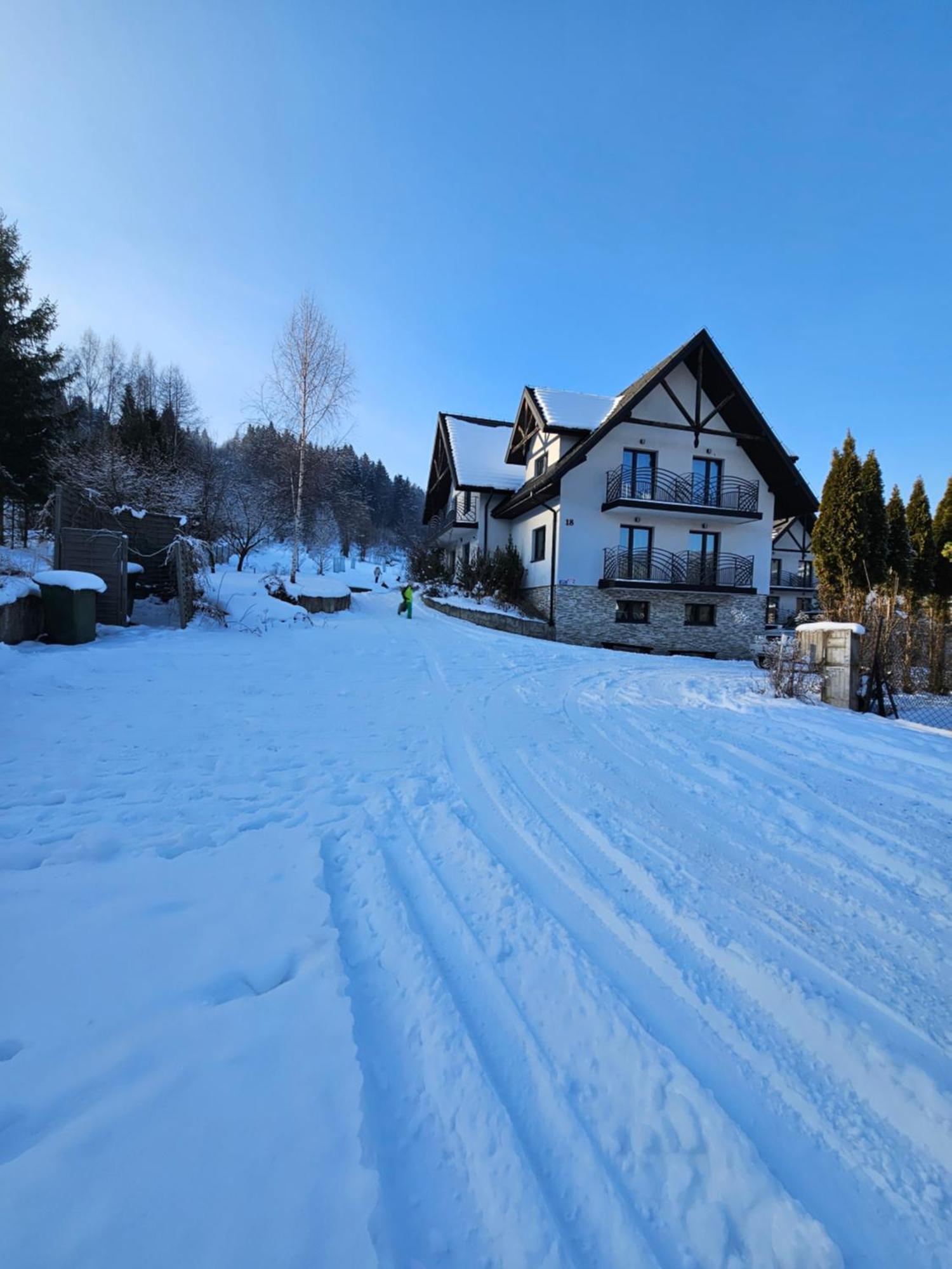 Otulina Park Bed & Breakfast Szczawnica Exterior foto
