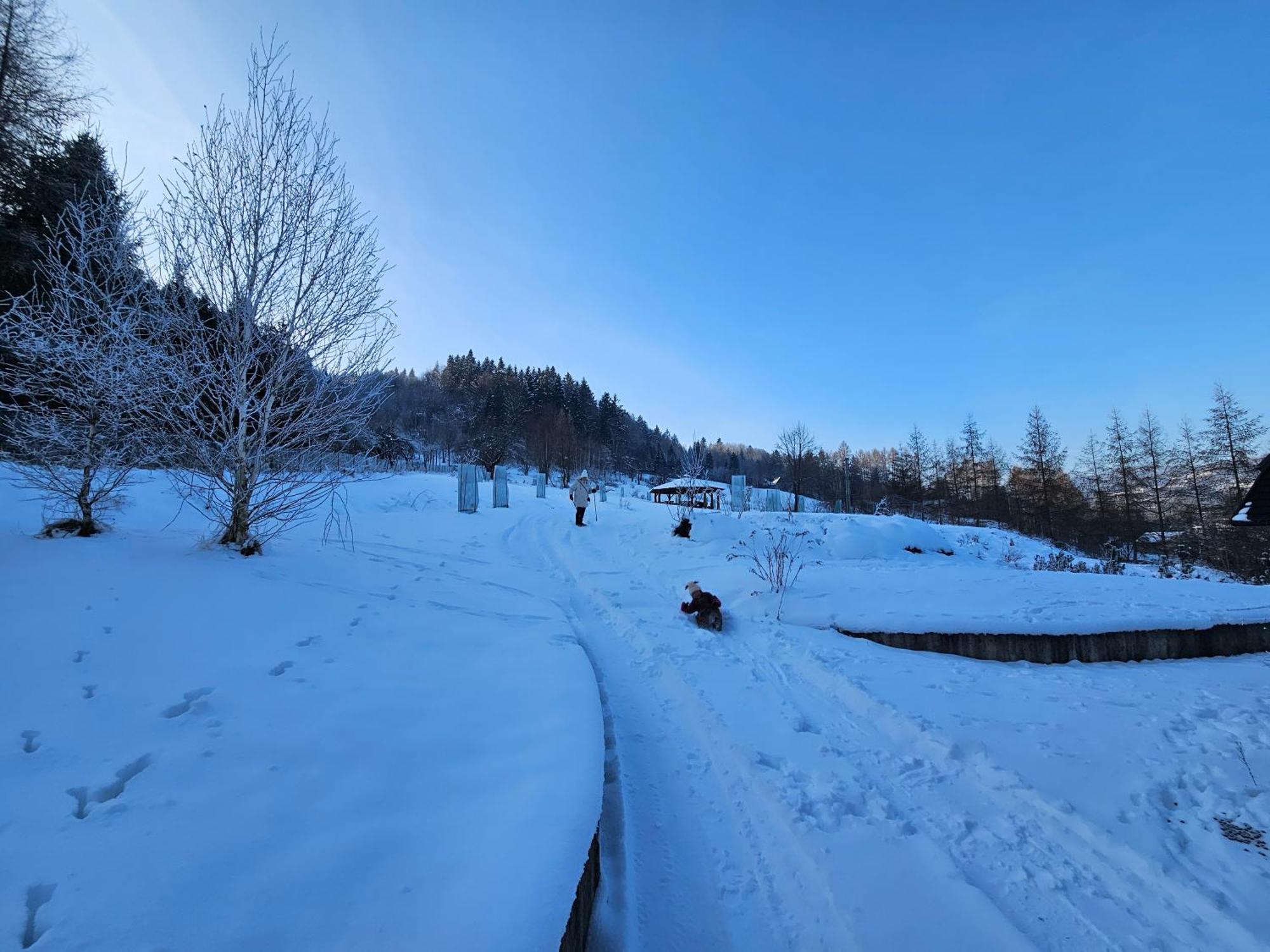 Otulina Park Bed & Breakfast Szczawnica Exterior foto