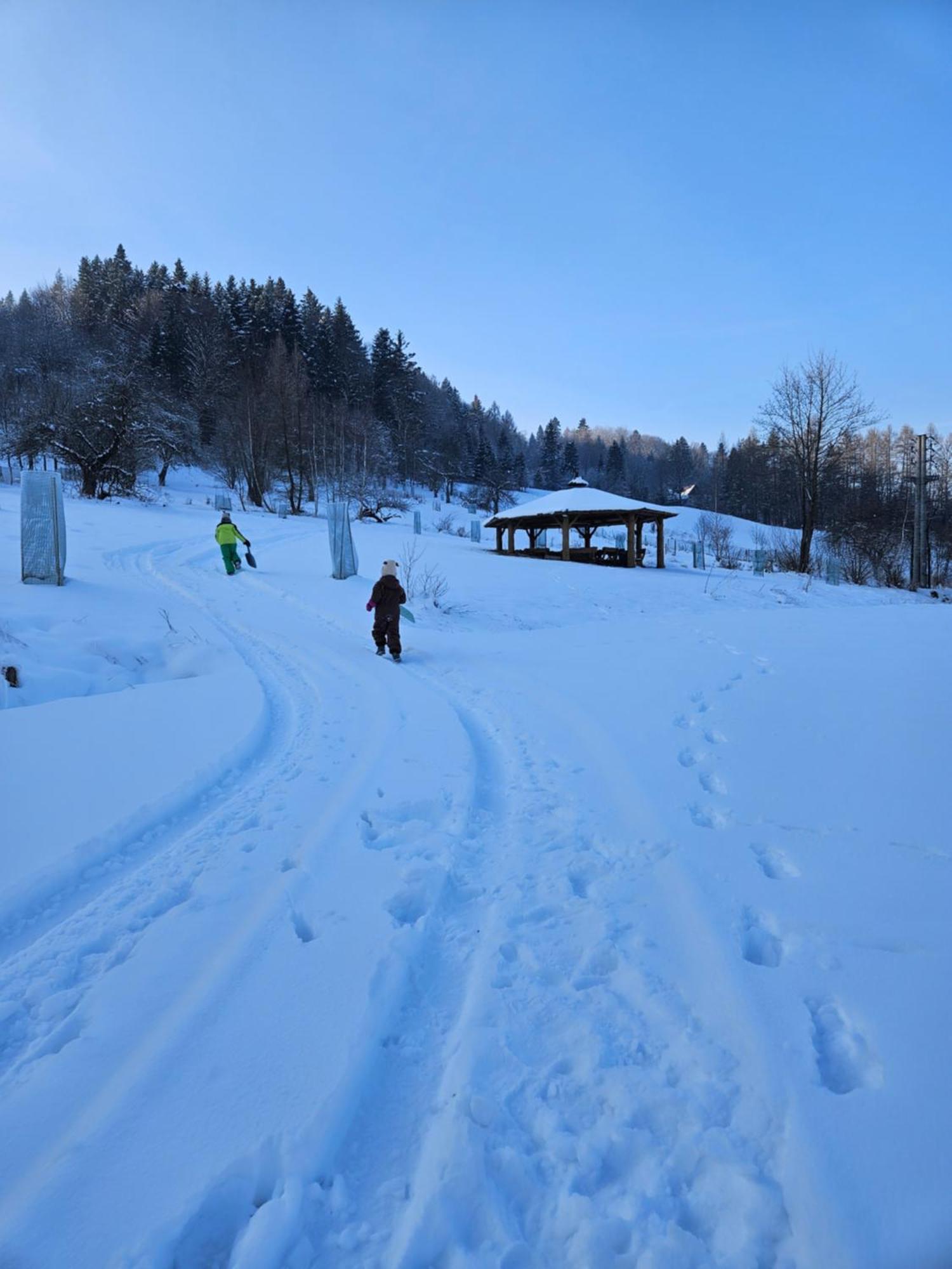 Otulina Park Bed & Breakfast Szczawnica Exterior foto